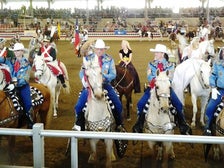 Equestfest at the Tournament of Roses