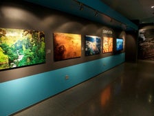 “Planet of Life” from “LIFE: A Journey Through Time” at Annenberg Space for Photography