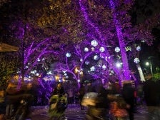 Disco Ball Forest at L.A. Zoo Lights