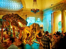 First Fridays at Natural History Museum of Los Angeles