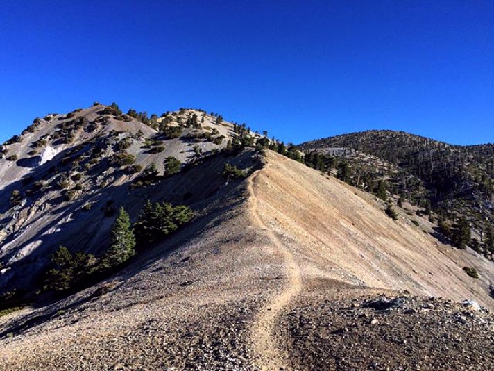 Bear Canyon Trail climbs 6,000 feet to Mt. Baldy