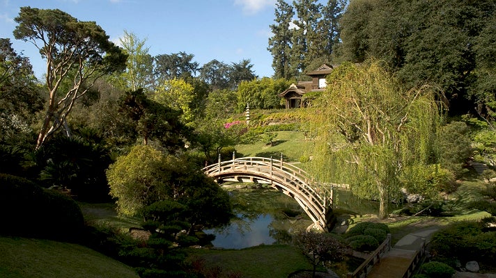 Morning in the Japanese Garden at The Huntington Library