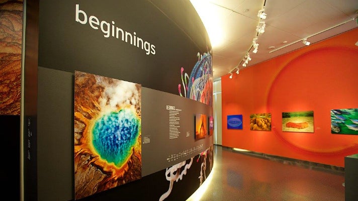 “Beginnings” from “LIFE: A Journey Through Time” at Annenberg Space for Photography