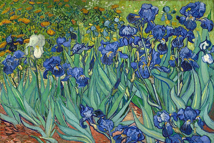 "Irises" by Van Gogh at the Getty Center