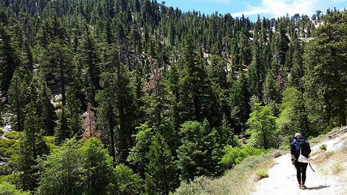 Burkhart Trail in the Angeles National Forest