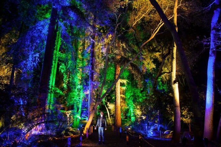 Enchanted Forest exhibit at Decanso Gardens