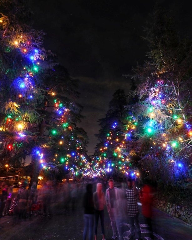 Christmas Tree Lane Lighting Ceremony in 2017