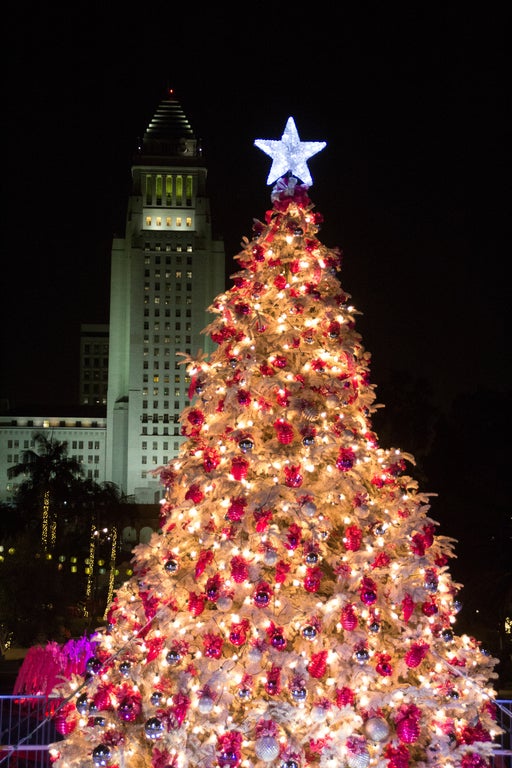 L.A. County Christmas Tree at Grand Park