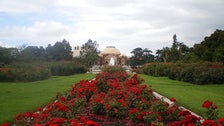 Exposition Park Rose Garden in Downtown L.A.