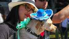 Blessing of the Animals on Olvera Street