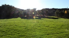 Moonshine Meadow at Golden Oak Ranch