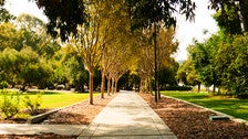 Walkway to the Booth Music and Speech Center at Occidental College