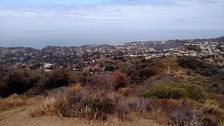 View from atop Temescal Canyon