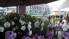 Larchmont Village Farmers Market