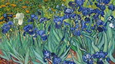 &quot;Irises&quot; by Van Gogh at the Getty Center