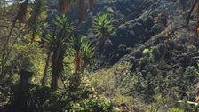 View from Amir&#039;s Garden in Griffith Park