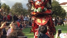 Lion dancer at the Chinese New Year Festival at The Huntington Library