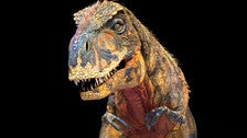 Walking with Dinosaurs T-rex