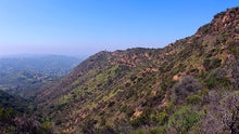 Aileen Getty Ridge Trail at Griffith Park