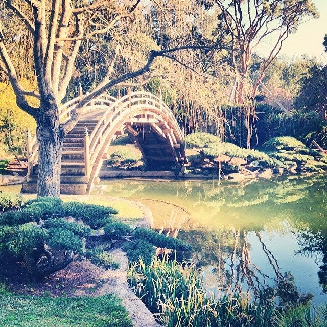 Moon bridge in the Japanese Garden at The Huntington Library