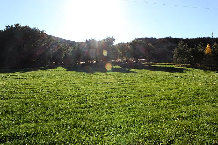 Moonshine Meadow at Golden Oak Ranch