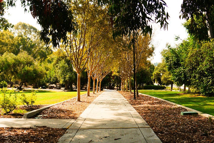 Walkway to the Booth Music and Speech Center at Occidental College