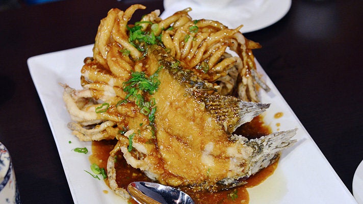 Lion fish at Chengdu Taste