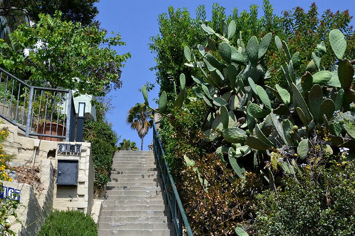 Broadview Terrace Stairs