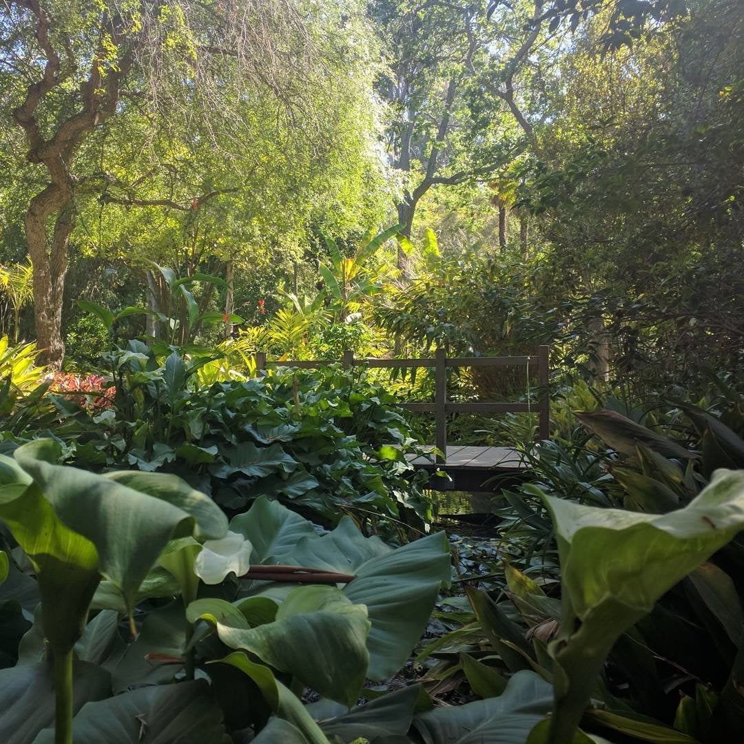 Mildred E. Mathias Botanical Garden at UCLA
