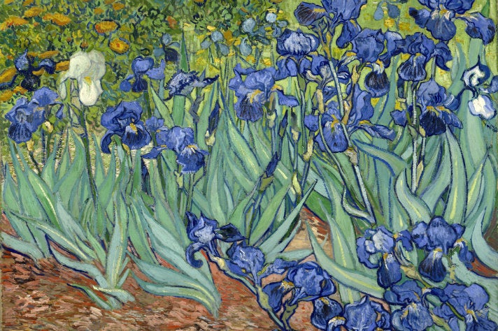 Vincent van Gogh - “Irises” (1889) at Getty Center