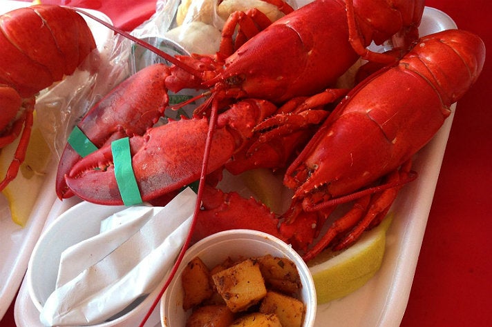 Maine lobster meal at the Port of Los Angeles Lobster Festival